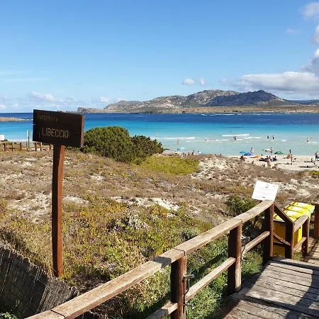 Charming Small - Bella Noi2082 *