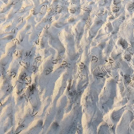 Charming Small - Bella Noi2082 شقة